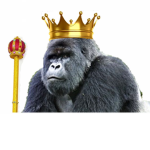 The Royal Ape Regiment