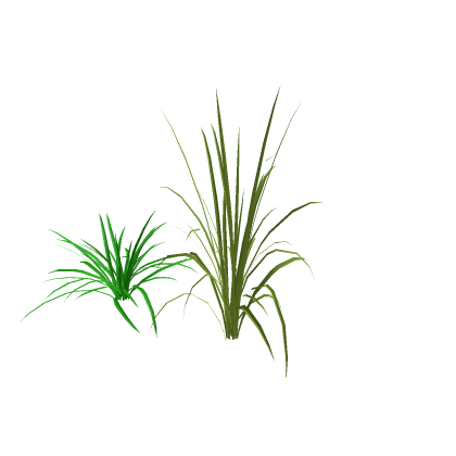 Constraint Grass