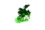 Aer Éireann | Roblox
