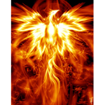 Phoenix Shop