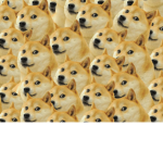 Doge gamer boys