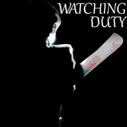 Watching Duty