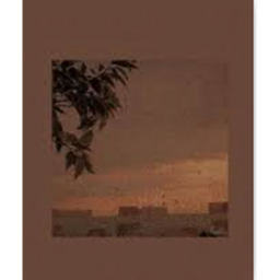 Aesthetic game ( new catalog update!)