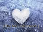 |•The Misunderstood•|