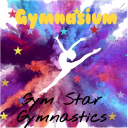 🤸💫Gym Star Gymnastics Gymnasium 💫🤸