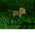 The Ocelots!