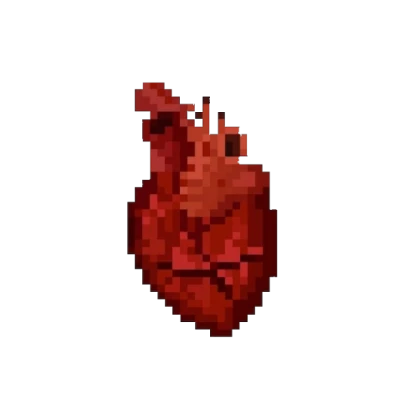 Heart