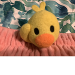Mr. Ducky Fan Club!