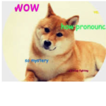 The doge empire :D
