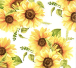 Emily’s sunflower group!