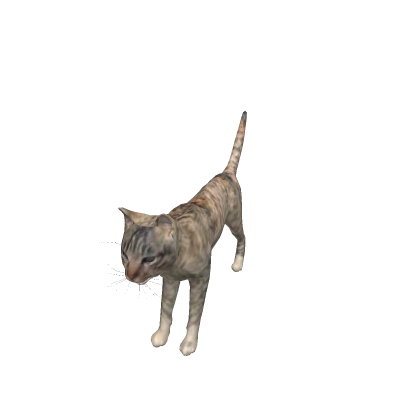fixed king of animal
