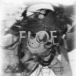 てFloe