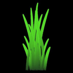 Verdant Studio