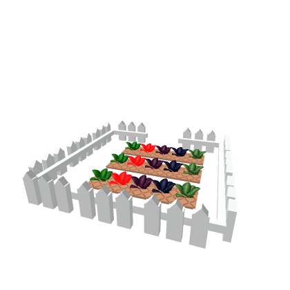 garden for summer