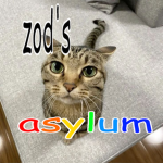zod's asylum