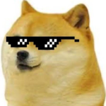 doggy PRODUCTIONS doge