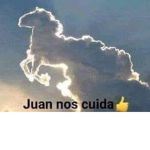 Mm2 nicol