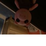Pooping in the bed