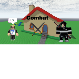 Combat