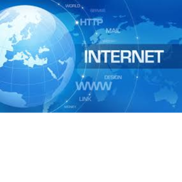 The Internet Tycoon