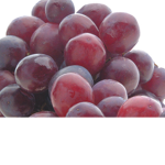 fruits and stuff
