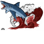 The Class Shark