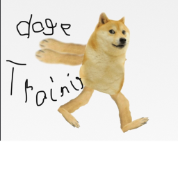 DOG EMPIRE run training