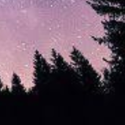 stars.