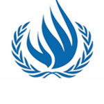 The Blue Forces