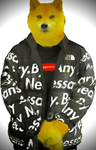 King doggy god of all doges