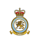 NEVS RAF - RAF POLICE