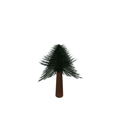 pine tree