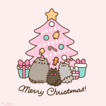 Loveee catsss