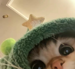 Robloxsianie