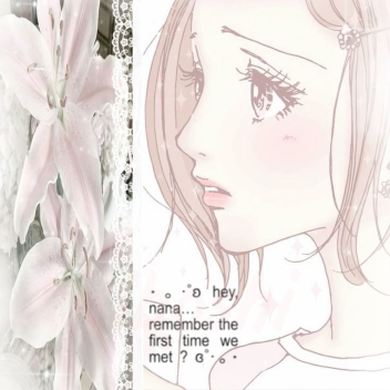 🐇 ♡