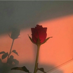 •ValentinesAngels•