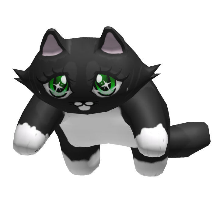 Cute Kawaii Black Cat Kitten on Head