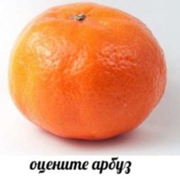 place_7275985411