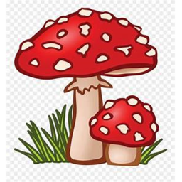 Mushroom Valley