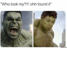 MEMES