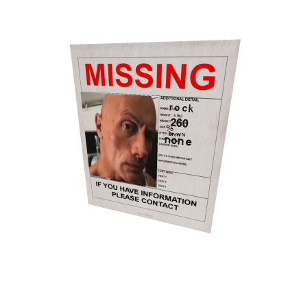 missing dwayne the rock