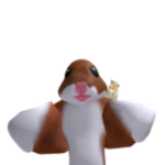 hamster-group