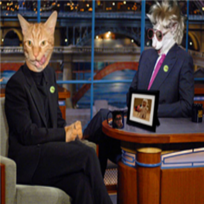 funny cat seen made u lugh 4 Roblox decal
