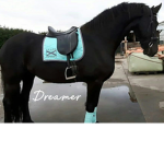 DreamerClub