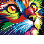 rain bow cats
