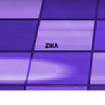GROUP ZIKA