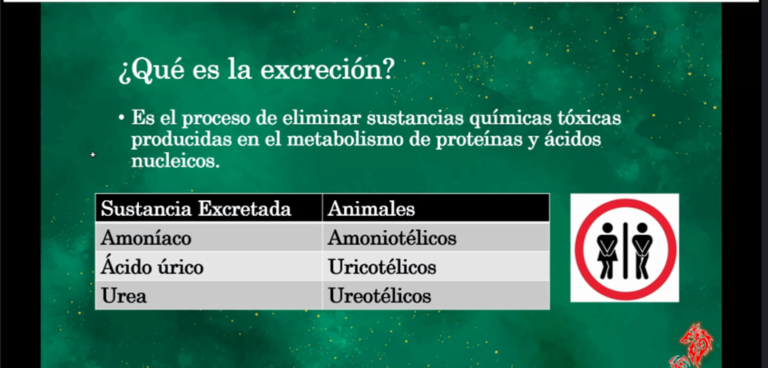 [Update!] Survive The Paw Patrol Killers screenshot 2