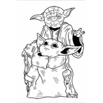 Yoda group team