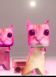 CAT LOVER GROUP TELL ME ABOUT YOUR CAT!