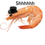Sea’s salty squad